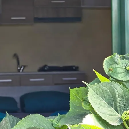 بيت ريفي Klimataria Sithonia Skala Sikias